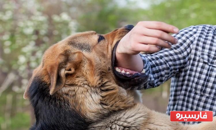 نشانه خواب سگ