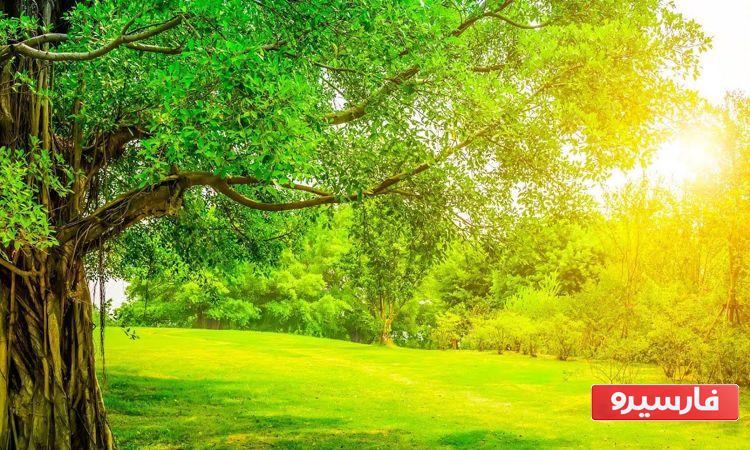 شعر انگیزشی زیبا