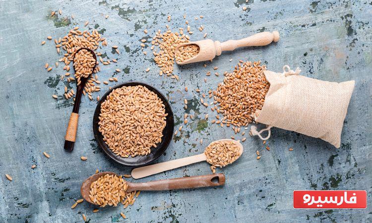 خواص گندم بو داده