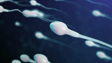 افزایش سرعت اسپرم در مردان