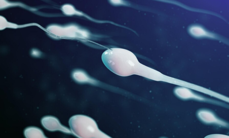 افزایش سرعت اسپرم در مردان