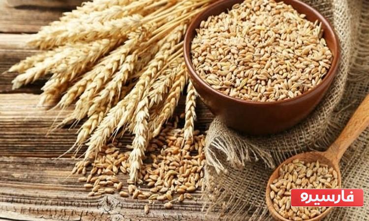 فایده گندم