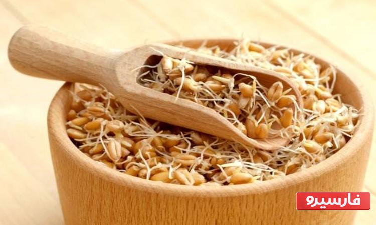 خواص گندم برشته