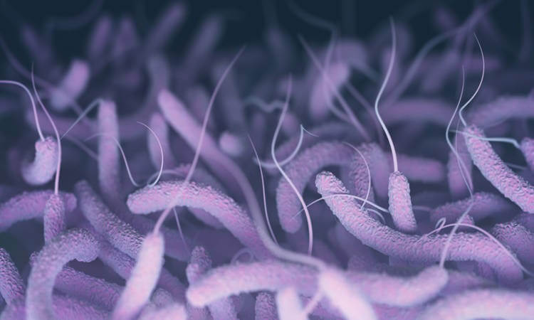بیماری وبا چیست | عامل، علائم، راه انتقال، جلوگیری و درمان وبا چگونه است؟