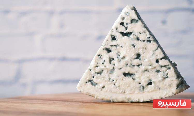 انواع پنیر در جهان 