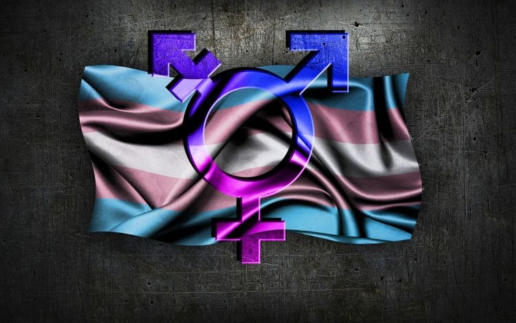 ترنس چیست: علت، خصوصیات و علائم ترنسکشوال و تراجنسی ها