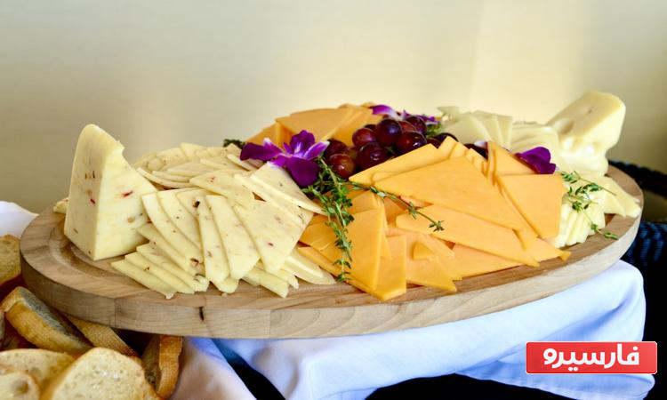 انواع پنیرهای دنیا 