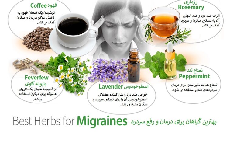 15 گیاه دارویی از بهترین گیاهان برای درمان و رفع سردرد
