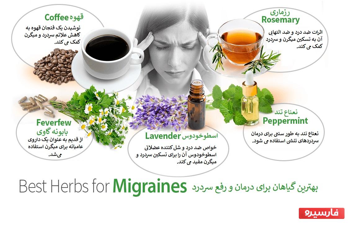 15 گیاه دارویی از بهترین گیاهان برای درمان و رفع سردرد
