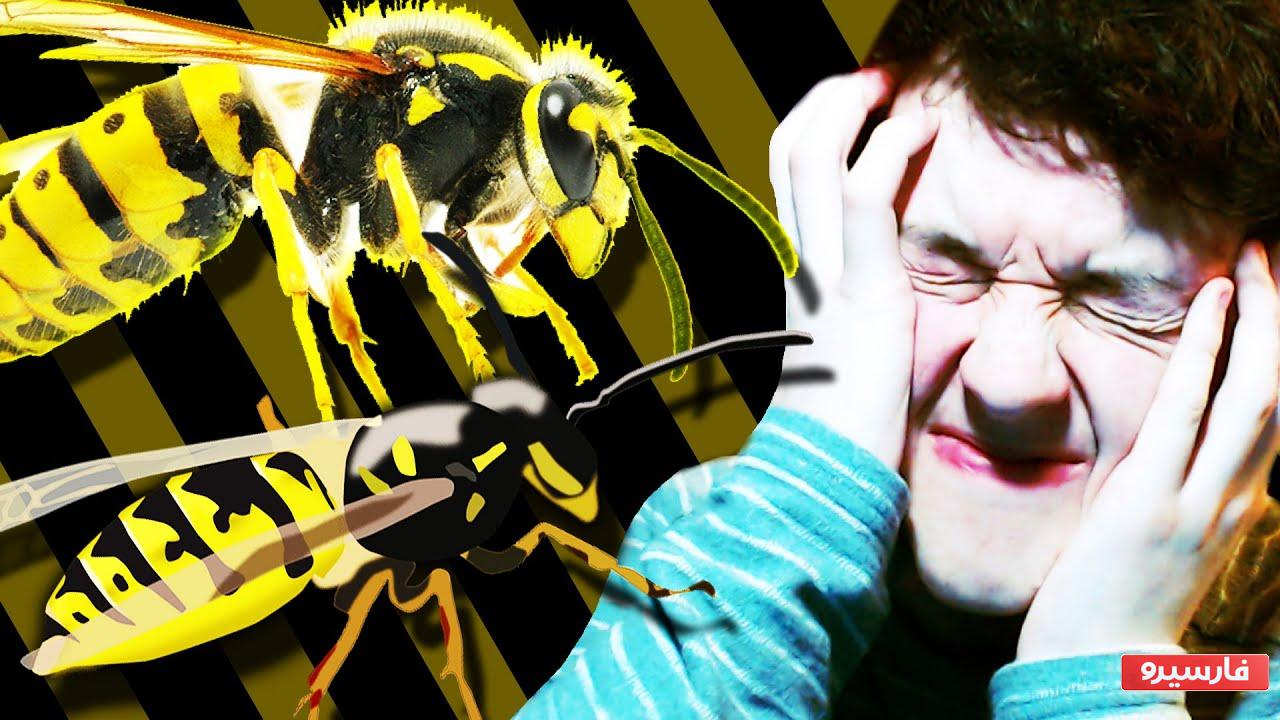 آپی فوبیا یا اسفکسوفوبیا (ترس از زنبورها) - ترس از حیوان ها