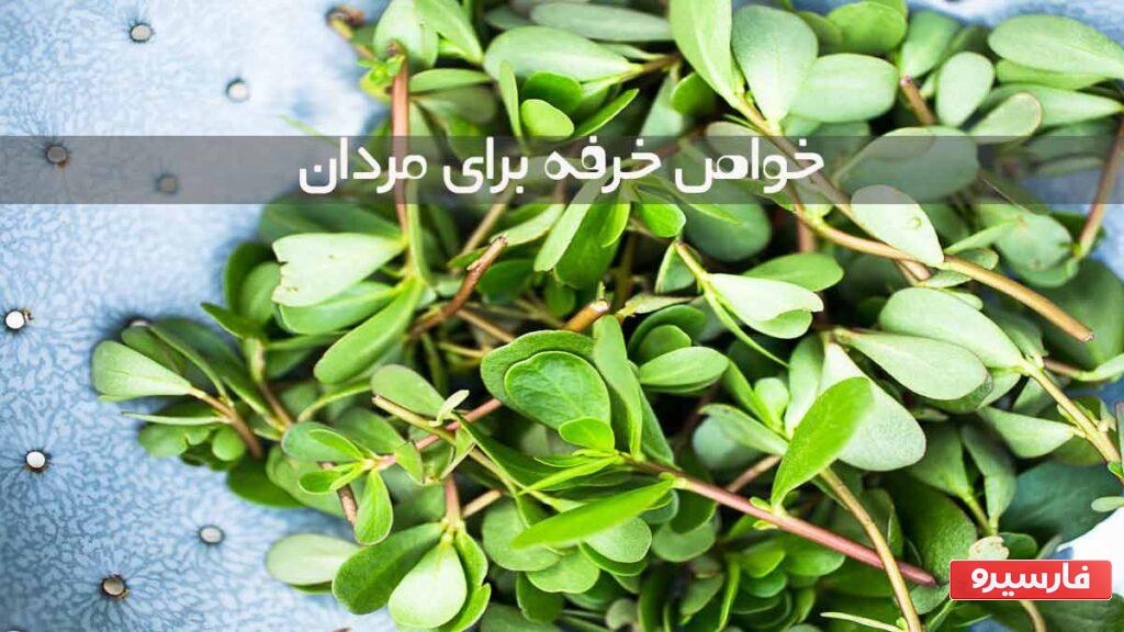 خواص خرفه برای مردان