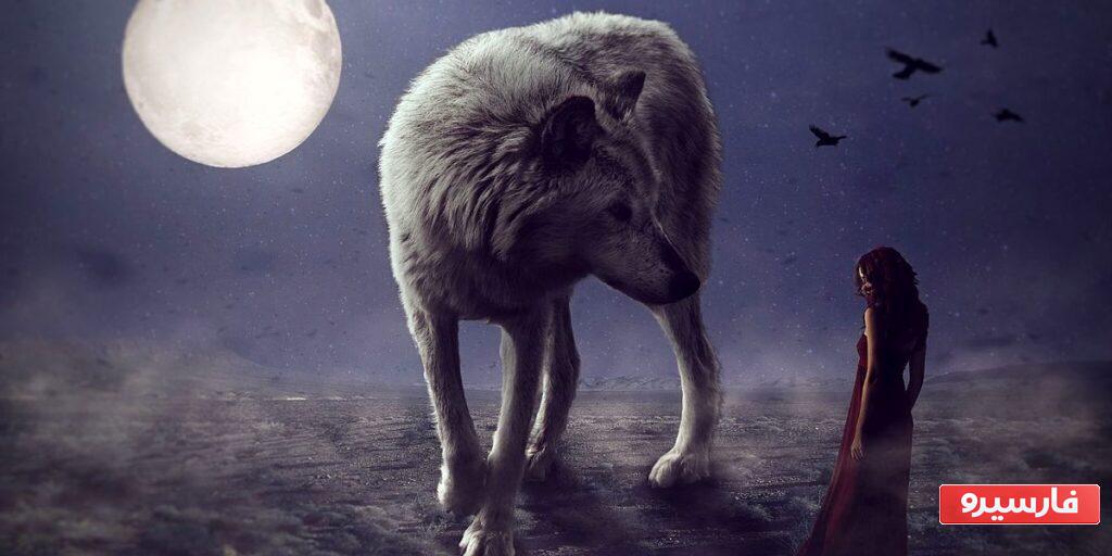 ابتدا آنچه را دیدید به من بگویید تا بتوانم تصمیمات منطقی یا احساسی را به شما بگویم.