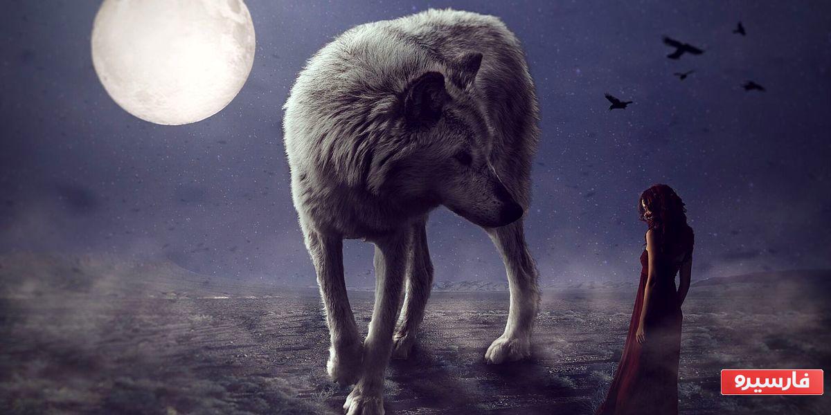 ابتدا آنچه را دیدید به من بگویید تا بتوانم تصمیمات منطقی یا احساسی را به شما بگویم.