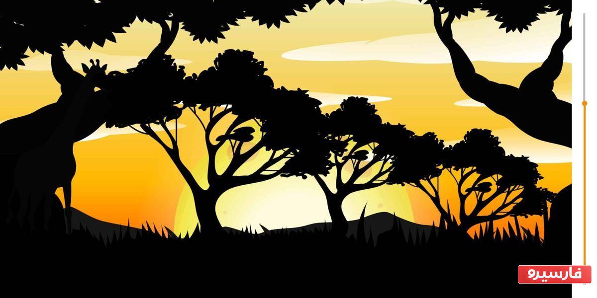 اگر یک زرافه پیدا کنید، هرگز آلزایمر نخواهید داشت