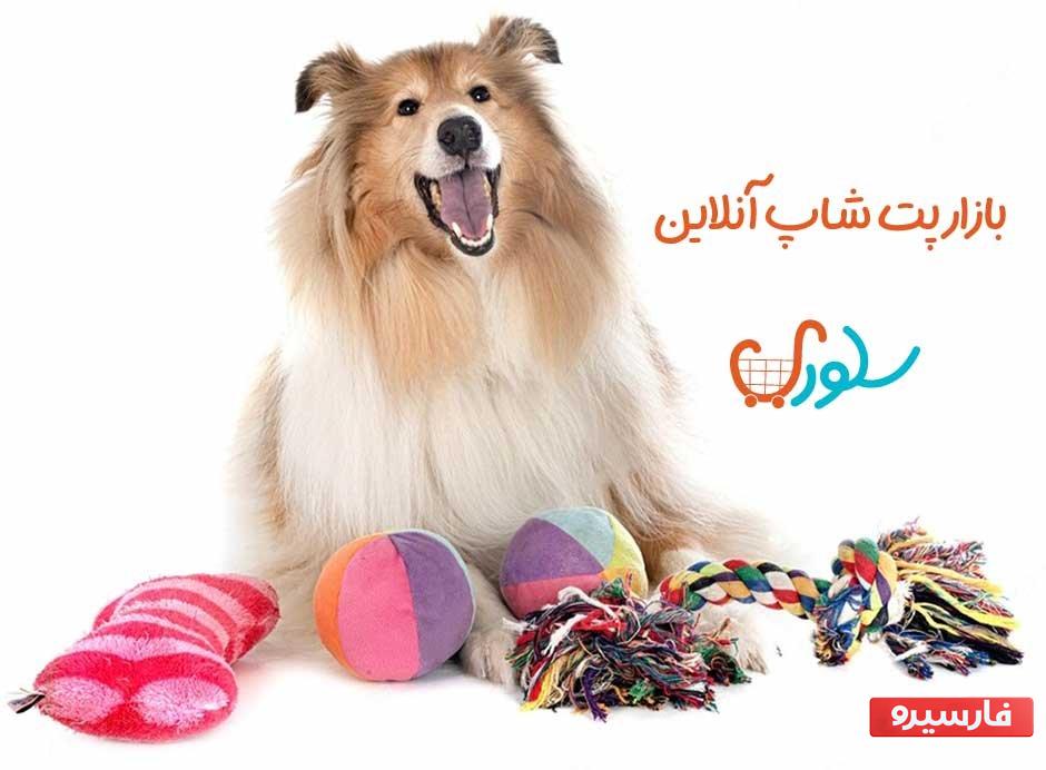 خرید جدیدترین اسباب بازی‌های سگ و گربه از بازار آنلاین پت شاپ سلوری