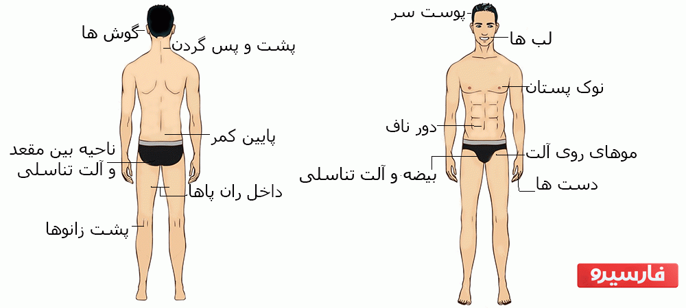 نقاط حساس بدن مردان