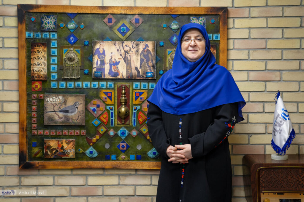 من فقط بر اساس عملکرد این رسانه ها ، چهار کانال -کانال -de -de -tudget را می بینم