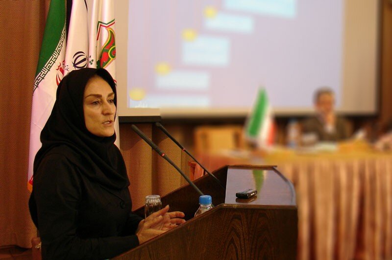 معاون رئیس جمهور آکادمی زبان و ادبیات فارسی: عشق عرب است ، اما سخنان فارسی مانند محبت و دوستی آن را جایگزین نمی کند