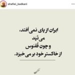 shafiii codex: ایران سقوط نمی کند