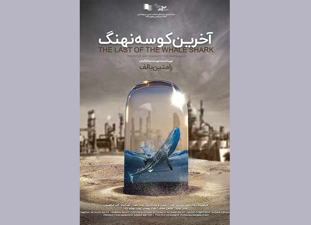 جایزه ویژه "آخرین کوسه نهنگ" در شانگهای