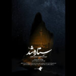 مستند مستند "ستاره شد"