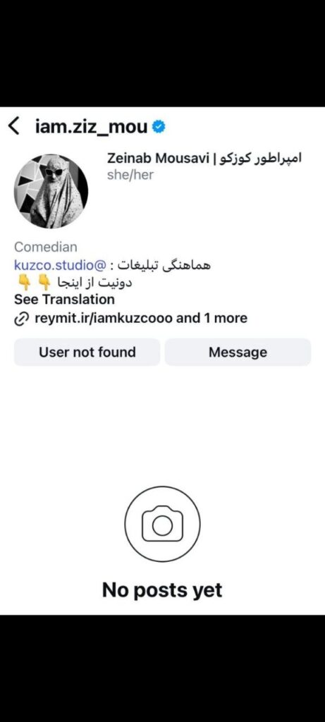 کمدی Shahnameh Mid برای خط قرمز/ صفحه Intersssram Zeinab Mousavi بسته+توییتر