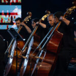 جادوی نوستالژی ؛ موسیقی ، اشک و احساسات هری پاتر در گزارش فراموش نشدنی از شب/ویدئو