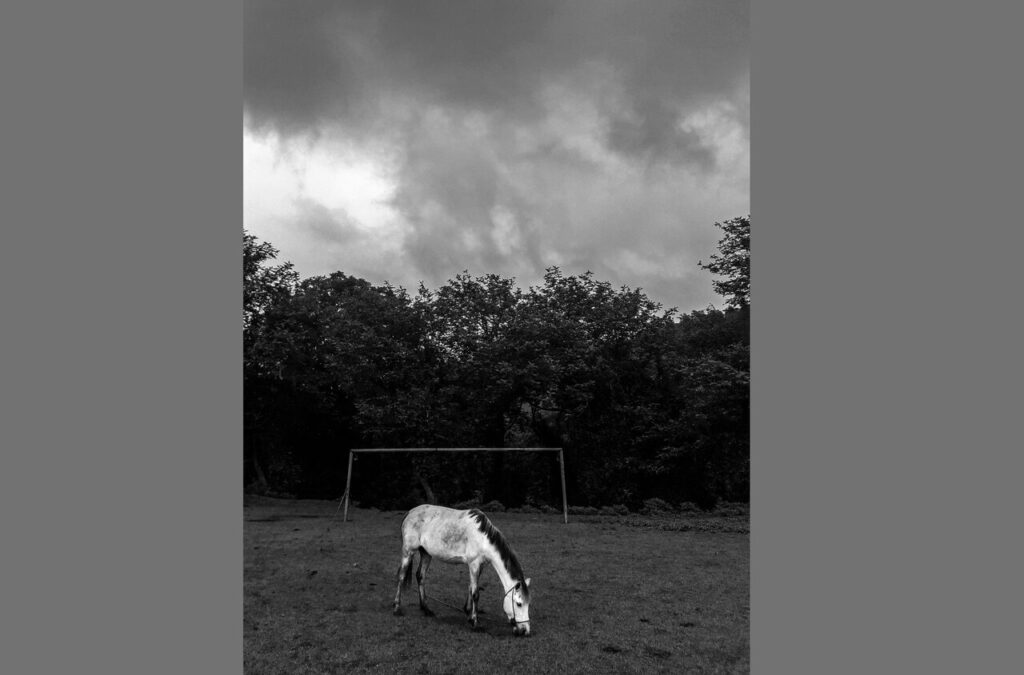 قدردانی از عکاس سیستان -بلوکستان در شارجه