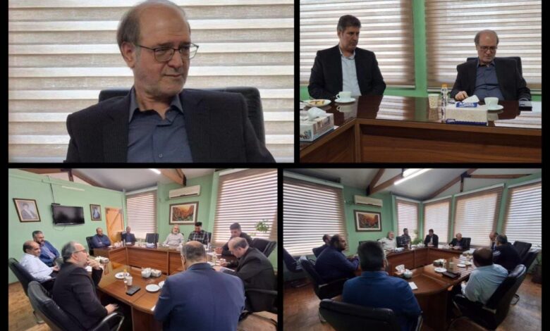 جانشین نادره رزی برای مدیران بخش هنری