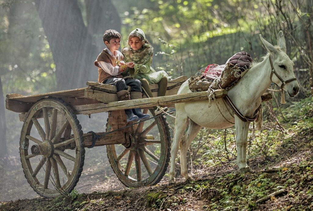 رفاقت حنا ، آموزش حنا.