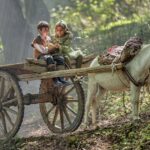 رفاقت حنا ، آموزش حنا.