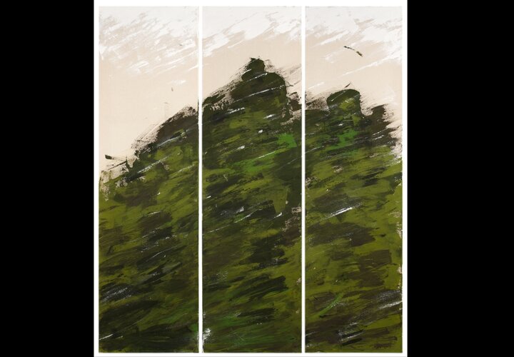 کارگردان فیلم سدر خود را به شیراز می برد