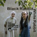 "خرگوش سیاه سفید" به شیکاگو می رود