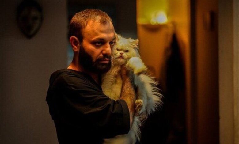 لاک پشت به راه اندازی سینما/ مصادره می رسد