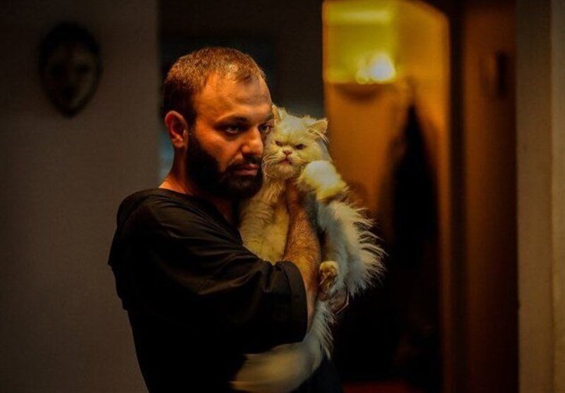 لاک پشت به راه اندازی سینما/ مصادره می رسد