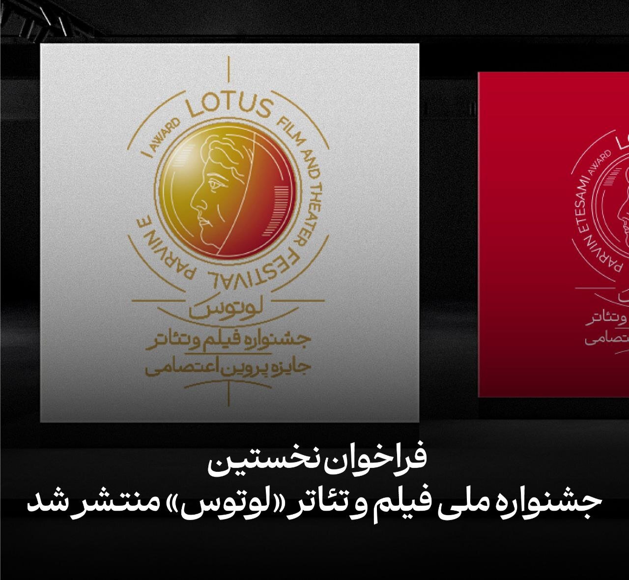 قدردانی از زنان و مردانی که می گویند "زنان"