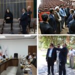 در کرمان ما سینمای مدرن نداریم