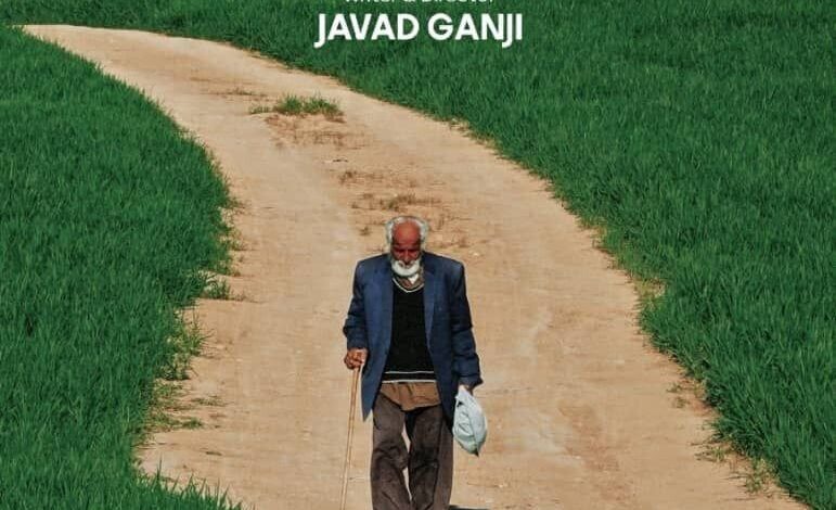 پیرمردی که فراموشی خود را فراموش می کند به سانفرانسیسکو فرستاده می شود