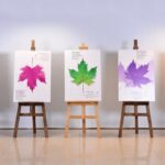 داوری بهروک