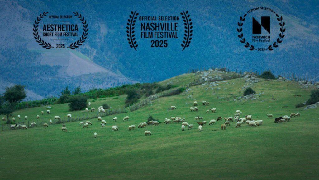 گوسفندان ایرانی به ایالات متحده و انگلیس فرستاده می شوند