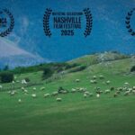 گوسفندان ایرانی به ایالات متحده و انگلیس فرستاده می شوند