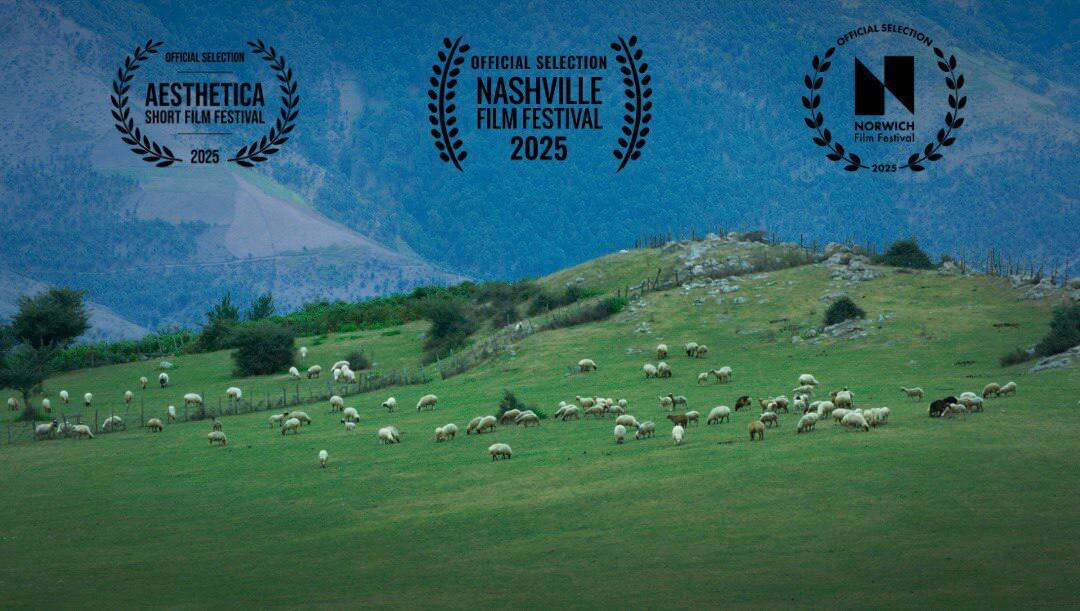 گوسفندان ایرانی به ایالات متحده و انگلیس فرستاده می شوند