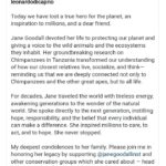 لئوناردو دی کاپریو: ما یک قهرمان واقعی را برای سیاره خود از دست دادیم