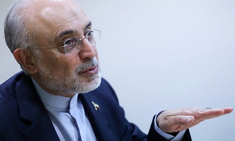 "روایت میهن در سینمای ایران" ؛ ارتباط هنرمندان با بنیاد مطالعات ایران