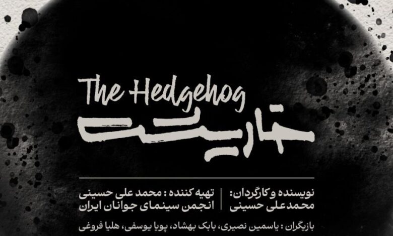 تولید