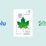 بلو؛ حامی جشنواره فیلم کوتاه تهران