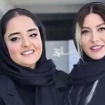 واکنش‌ها به مصاحبه طبقاتی فریبا نادری؛ مرز طنز و توهین کجاست؟