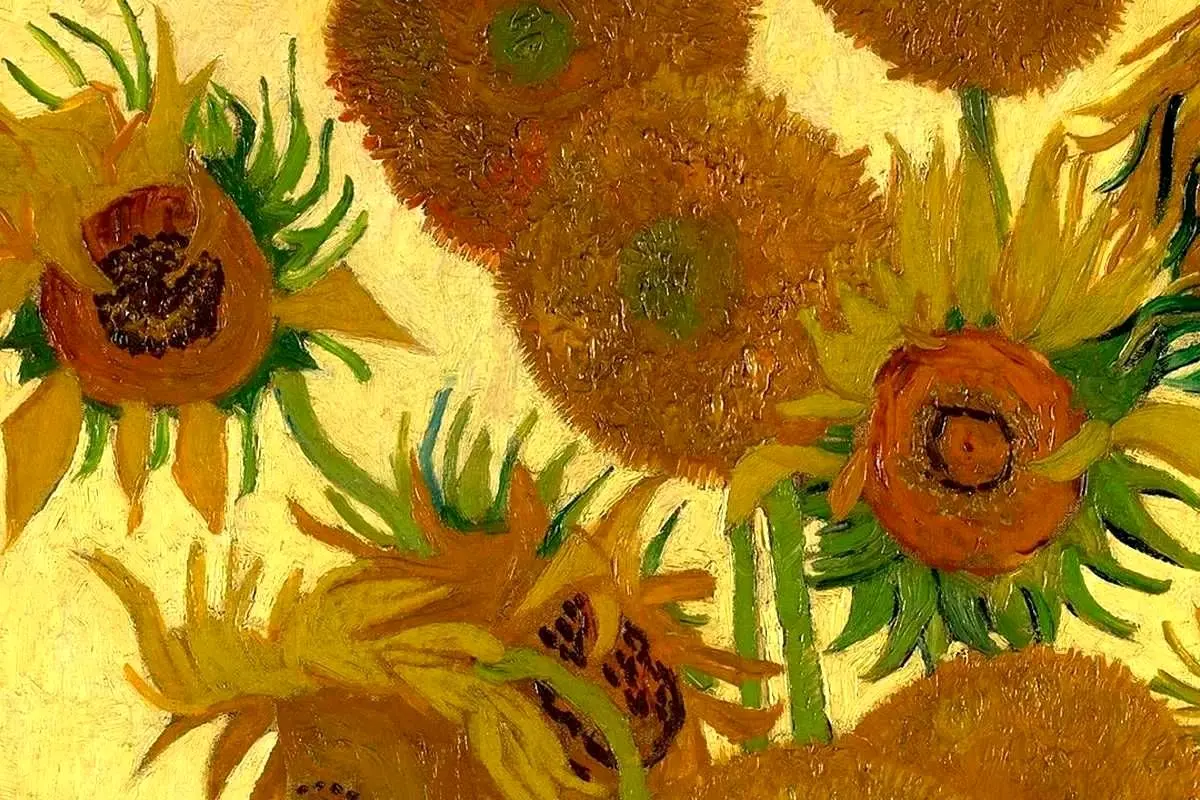 آفتابگردان‌های «ون‌گوگ» به‌هم می‌رسند