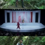 اجرای احساسی سینا ساعی در برنامه کارناوال درباره وطن