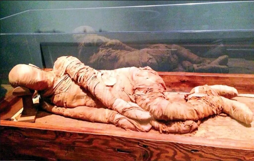 تصاویر عجیب مومیایی‌ها در بزرگ‌ترین موزه جهان در مصر